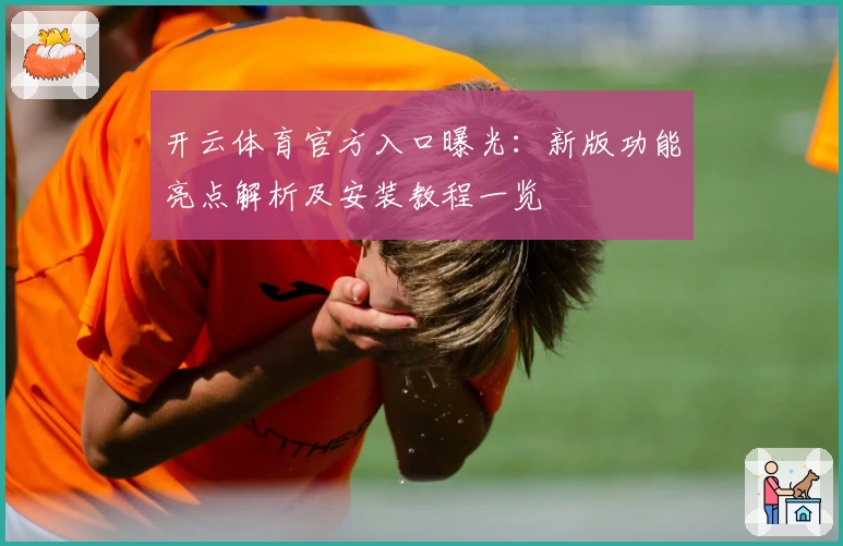 开云体育官方入口曝光：新版功能亮点解析及安装教程一览