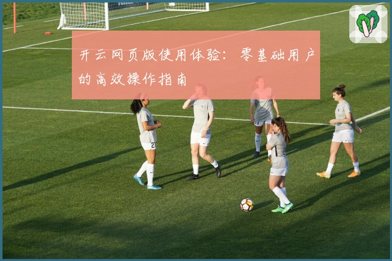 开云网页版使用体验：零基础用户的高效操作指南